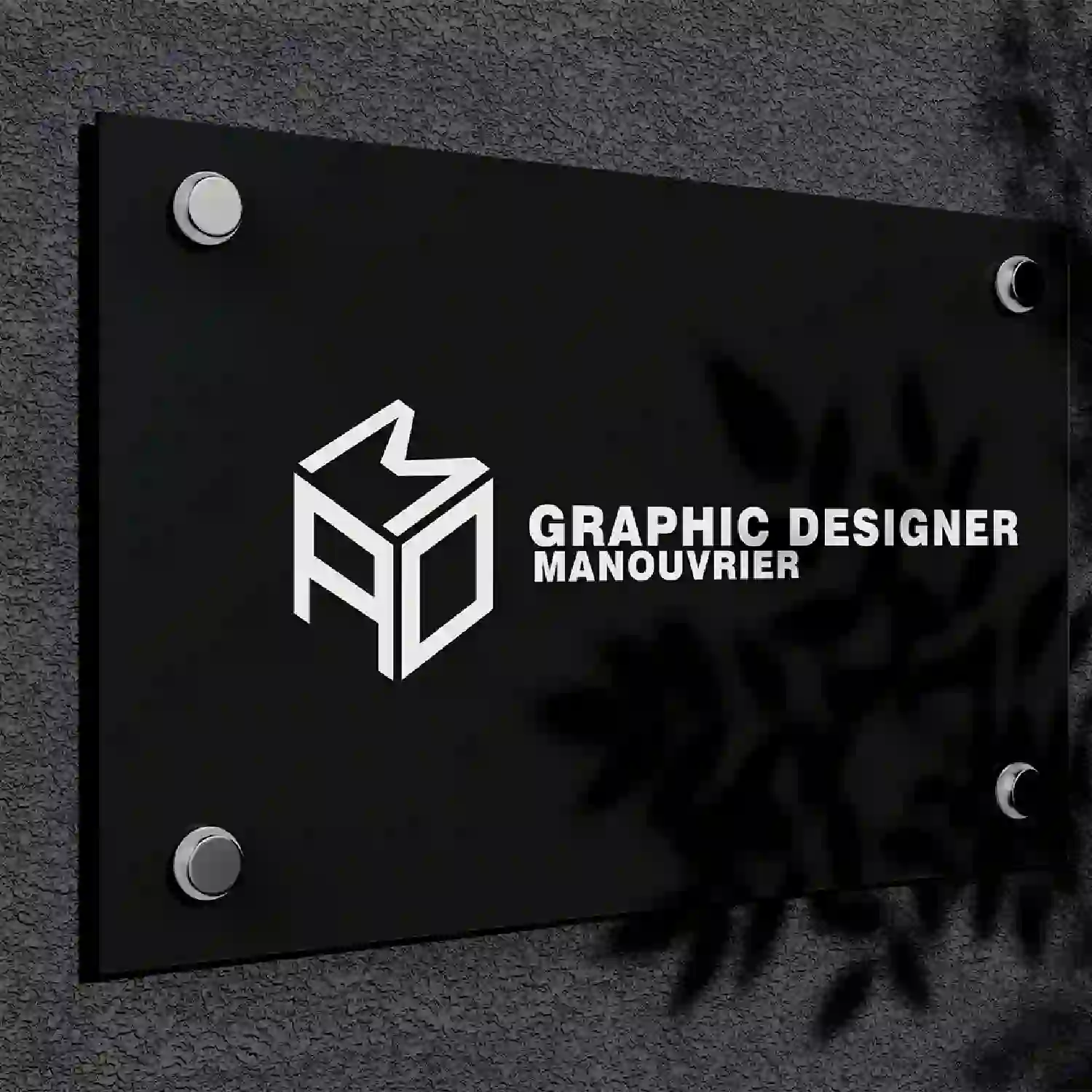 Mon projet sur la crétion de mon logo.