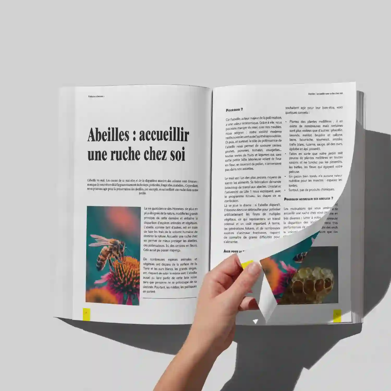 Un magazine mit en page pour mon examen de mise en page et impression.